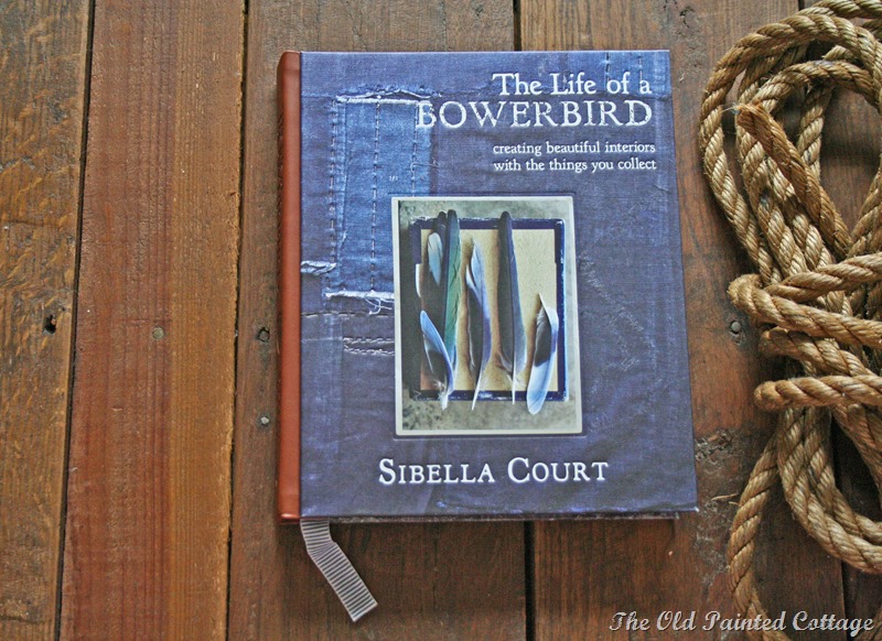 [sibella-spring15.jpg]