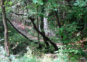 Downhill start, downhill adrenalina.