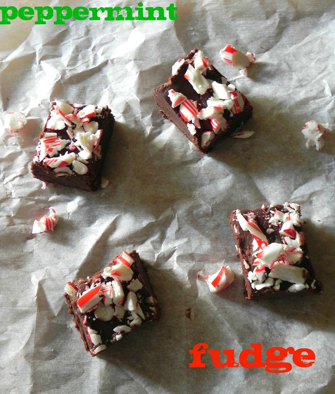 [peppermint-fudge-2%255B6%255D.jpg]