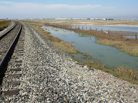 DSCN5377.JPG