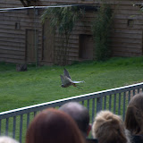 Cub Pack Holiday - Skreens Park 2012 - DSC_0164.jpg