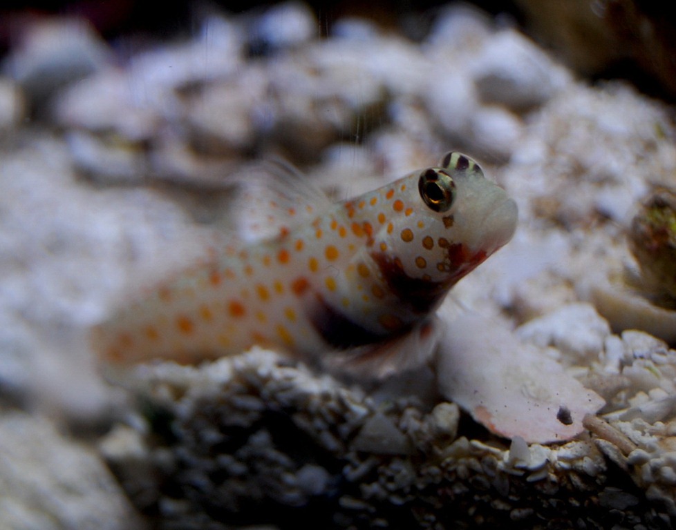 [aquariumaugust203.jpg]