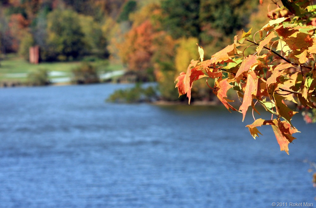 [IMG_89164.jpg]