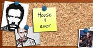 mural house mural house