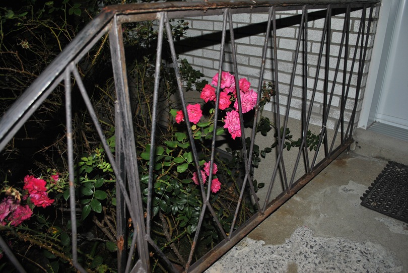 [DSC_049912.jpg]