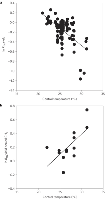 Effects of warming on rice yield and CH4 emissions versus the control temperatures in warming experiments. a, The normalized effect of warming on rice yield (ln RTN) versus the control temperature in the warming experiment. ln RTN is significantly correlated with the control temperature (r2 = 0.30,p<0.01). b, The normalized effect of warming on yield-scaled CH4 emissions (ln RTN) versus the control temperature. ln RTN is significantly correlated with the control temperature (r2 = 0.45, p = 0.01). Groenigen, et al., 2012