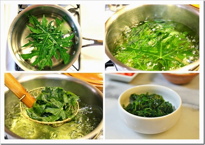 Cooking Chaya1 Cooking Chaya1