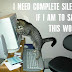 funny-animals-24.jpg