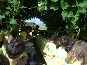 WOW! What a neat vine!