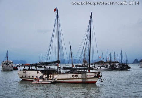 DSC_4880 DSC_4880