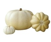 [white-pumpkins%255B5%255D.jpg]