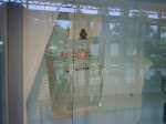 IMG00262-20090805-1432.jpg
