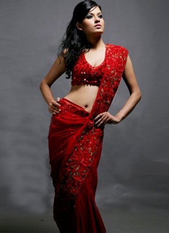01-designer sarees ebay-amishapatel