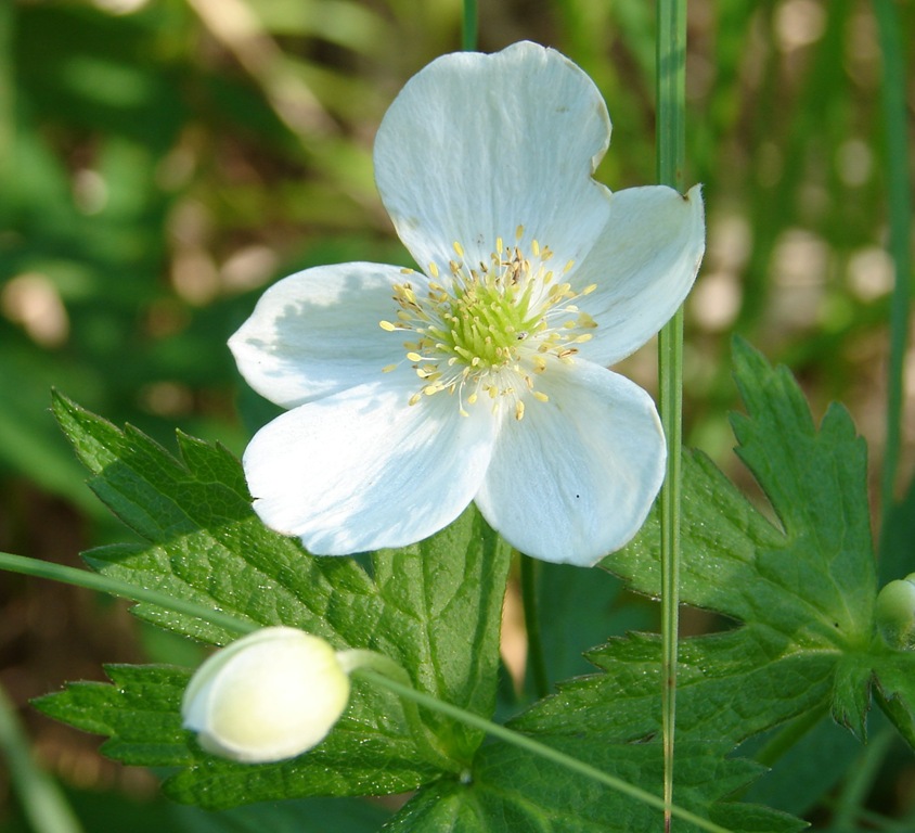 [DSC00070-1%255B7%255D.jpg]