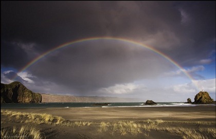 Wonderful-Rainbow15