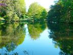 A view from the canal, originally a water source for all the plant material grown on the Palace grounds, and now quiet retreat from the heat and bustle of the historic areas. Perfect, right?