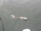 Image5.jpg