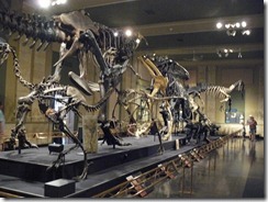 Kenosha Dinosaur Museum 021