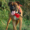 mock05.09.08-055.jpg