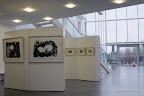 Exhibition 'Spatial Patterns' by Peter McMorris