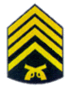 [Segundo%2520Sargento%2520PMBA%255B2%255D.gif]