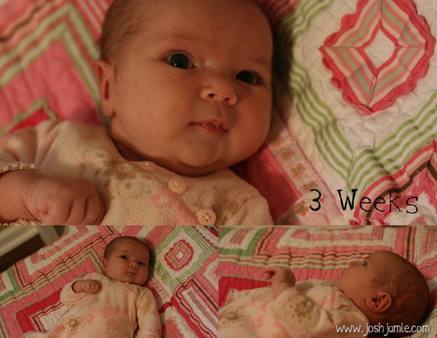 [2012%2520-%25201%2520-%2520January-009%255B3%255D.jpg]