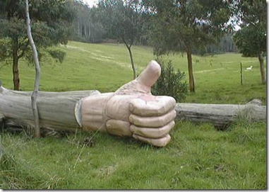 Thumbs up for Nick made from a tree
