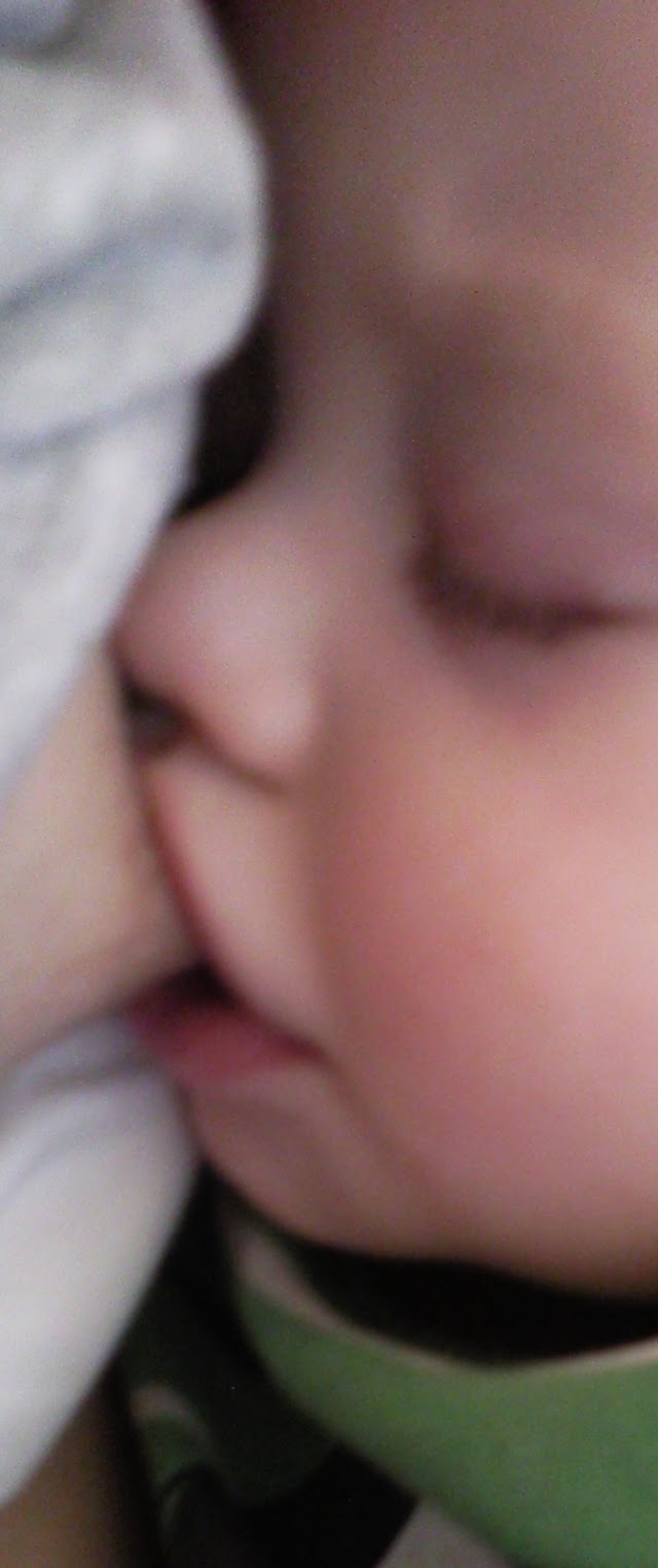 foto0324.jpg