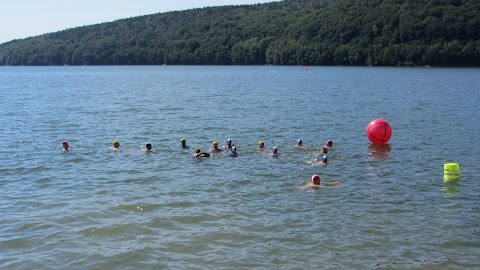 pred štartom