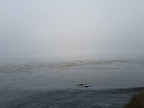 IMG_20110827_095736.jpg