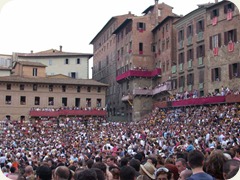 Palio_Siena_Piazza_del_Campo