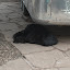 DSC_8390.JPG