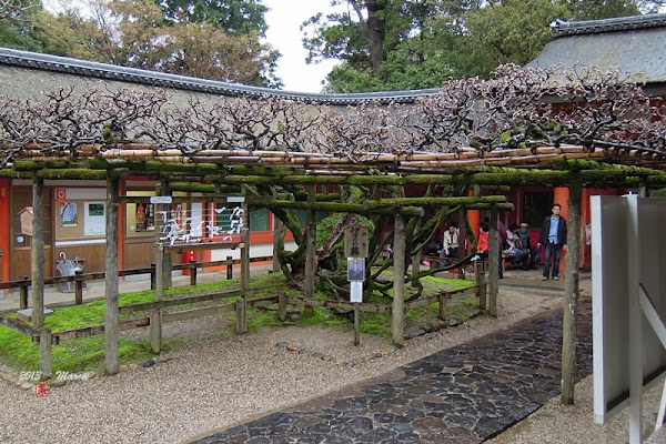 奈良 春日大社&奈良公園(なら)