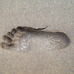 20100827_052_small.JPG