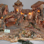 IMG_0862.jpg