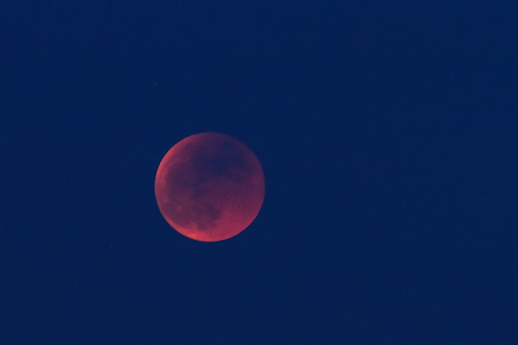 [luna4dg.jpg]
