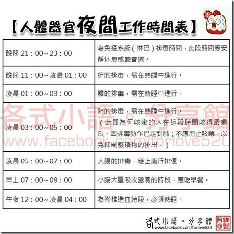 人體器官夜間工作時間表 人體器官夜間工作時間表