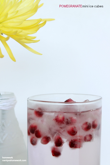 Pomegranate Mini Ice Cubes via homework  | carolynshomework 