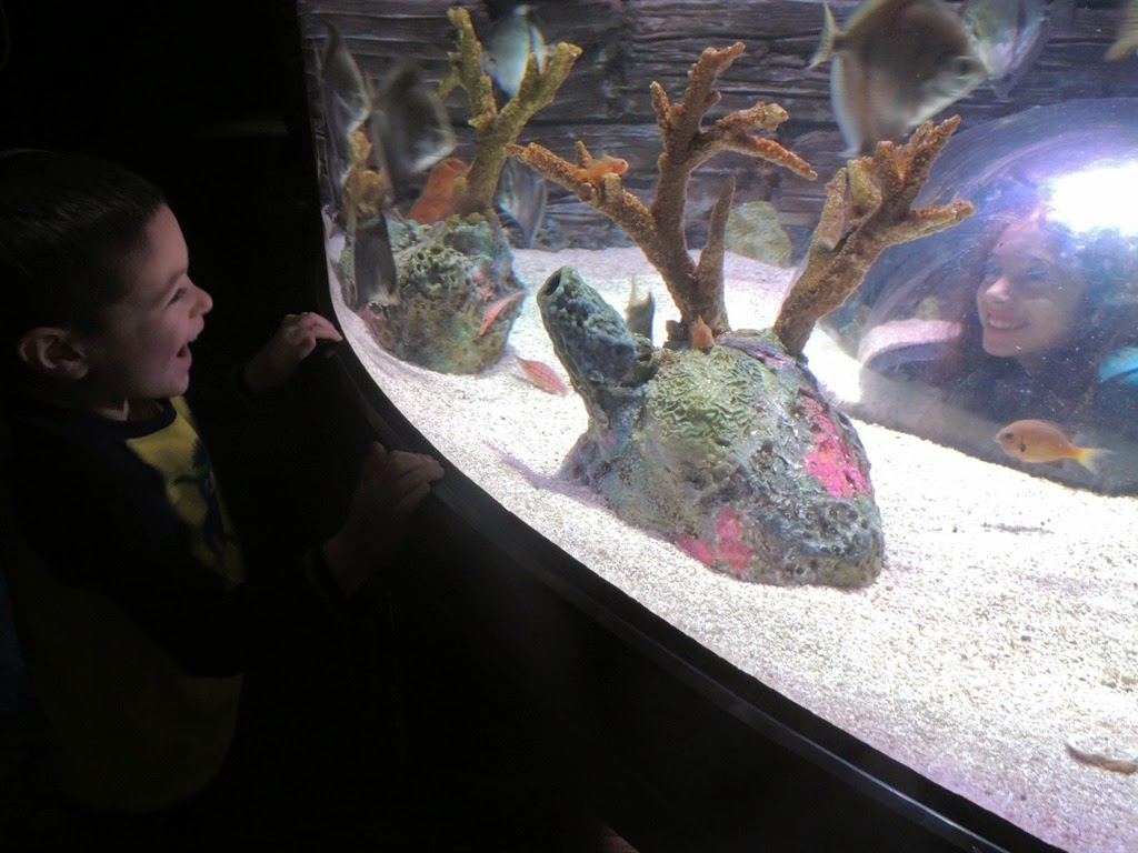 [DSCN1353%255B3%255D.jpg]