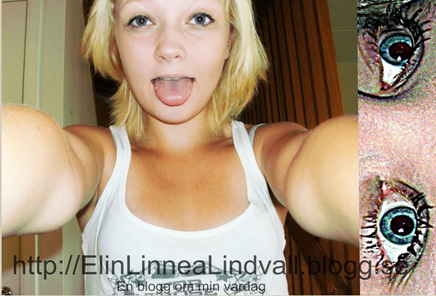 Skärmklipp