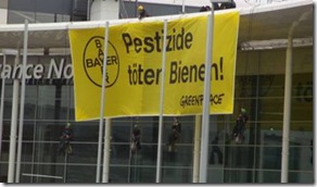 Bayer