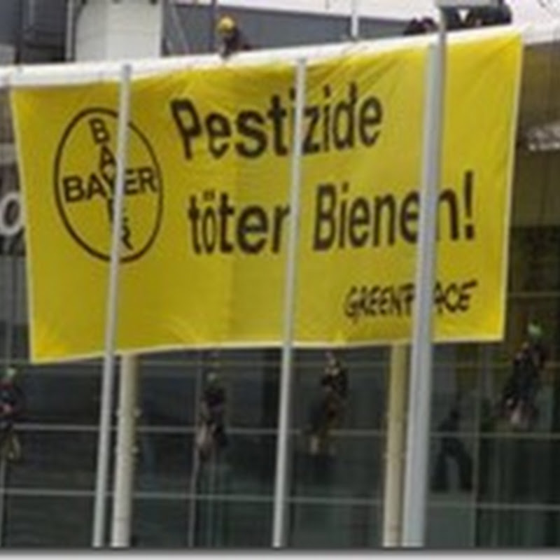 BAYER: azione Greenpeace a Colonia contro strage api da pesticidi
