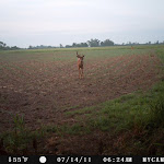 PICT0189.JPG