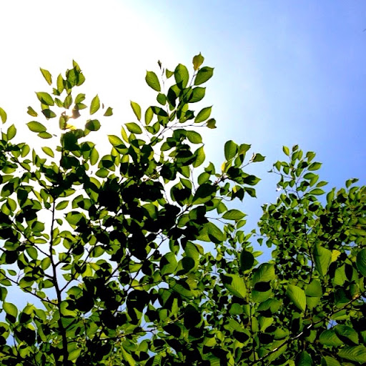20120429200454.jpg
