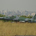 DSC09342.JPG
