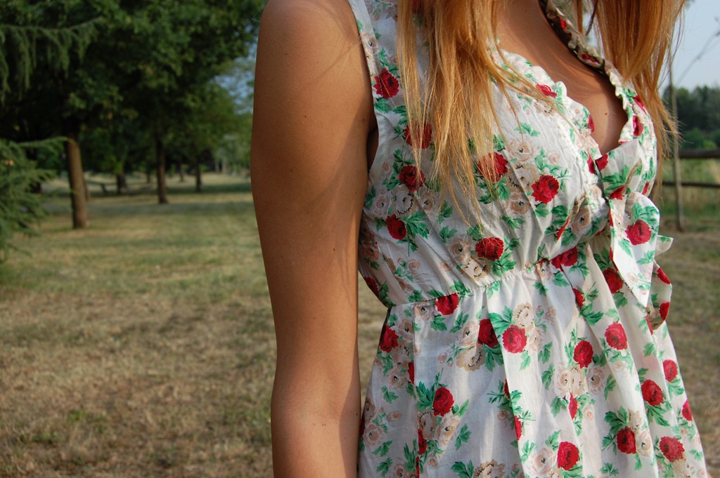 [DSC_0177%255B4%255D.jpg]