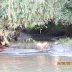IMG_5768.JPG