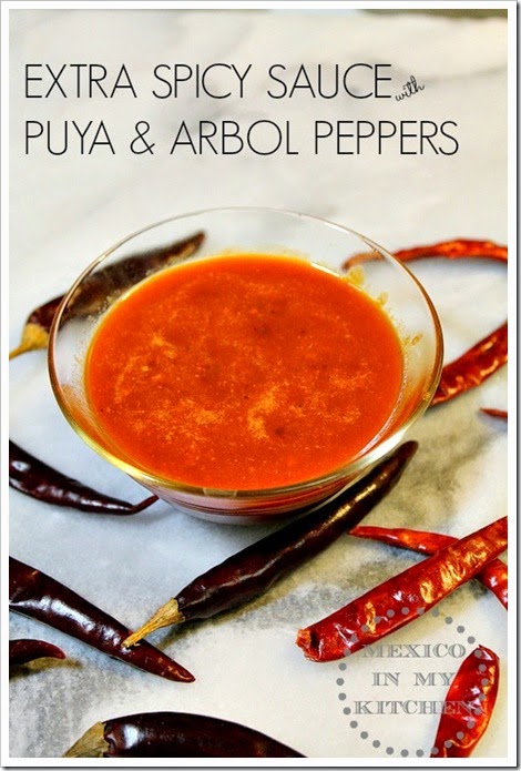 spicy hot salsa spicy hot salsa recipe