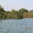 IMG_8047.JPG
