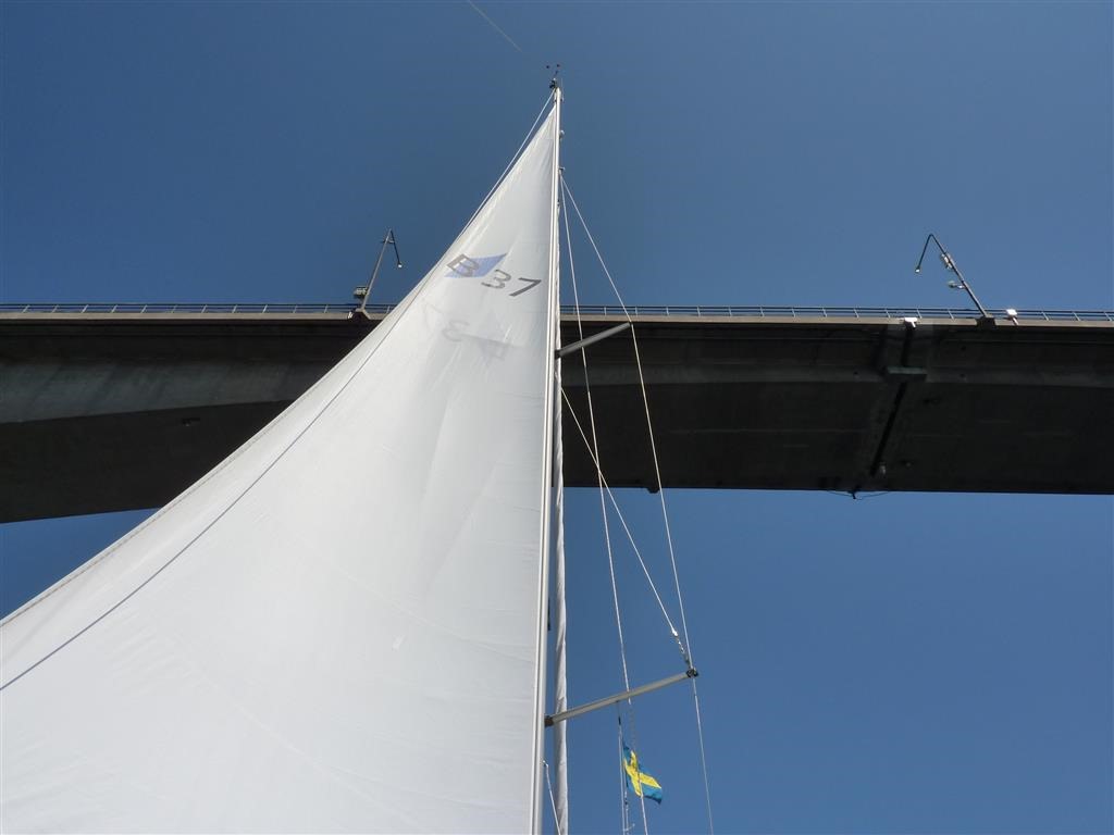 [P1030298-Medium3.jpg]
